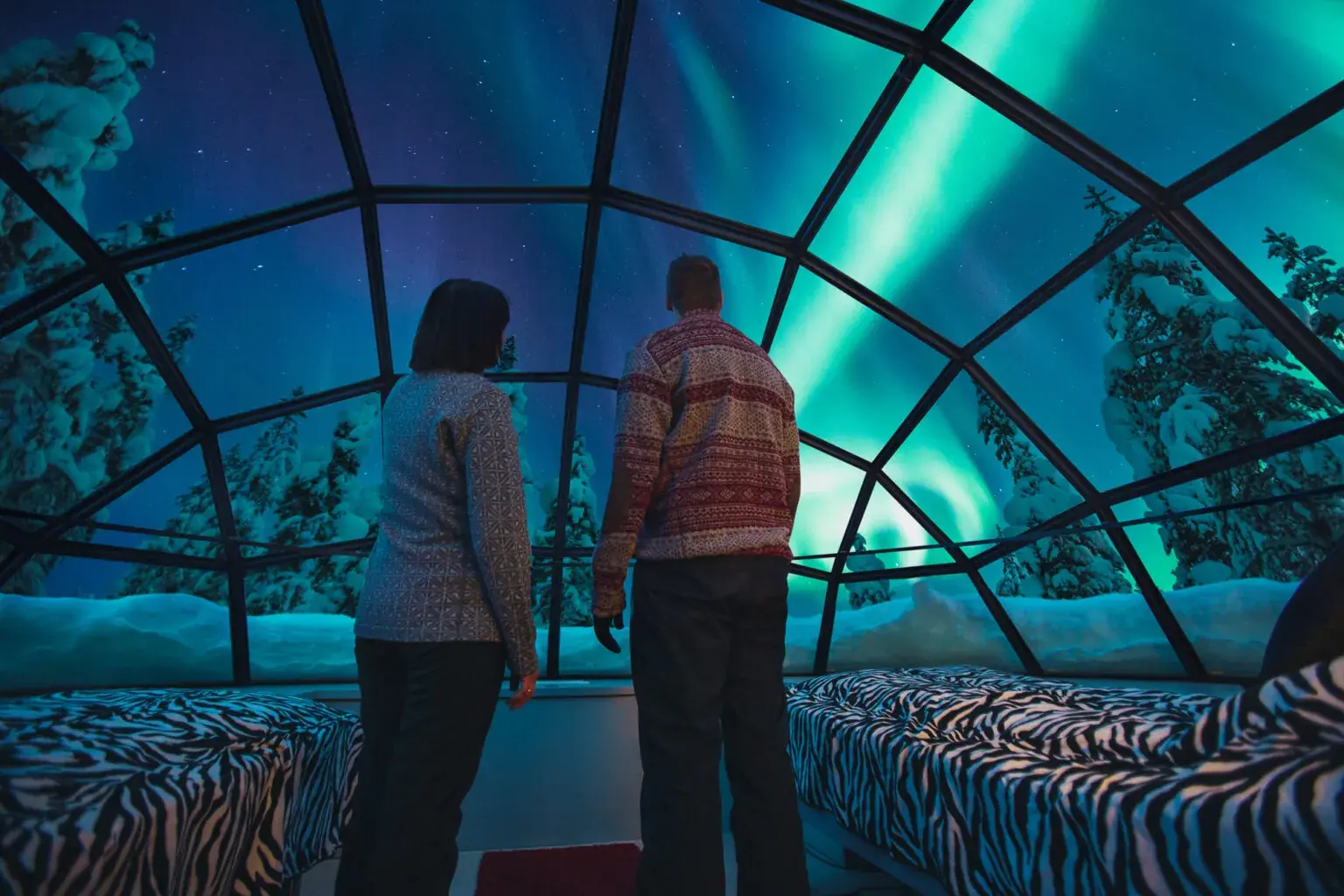 Glass Igloo Stay